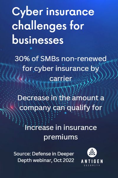 Cyber insurance challenges for business